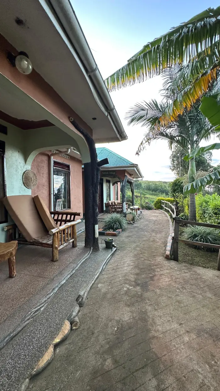 rafiki lodge
